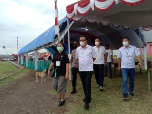 WhatsApp Image 2022-03-26 at 00.00.19