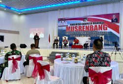 WhatsApp Image 2022-03-31 at 21.47.49