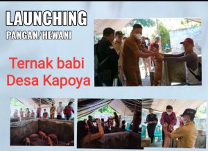 WhatsApp Image 2022-04-07 at 6.02.38 AM (1)