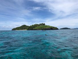 WhatsApp Image 2022-04-13 at 8.10.17 PM