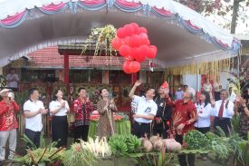 WhatsApp Image 2022-09-01 at 11.45.11