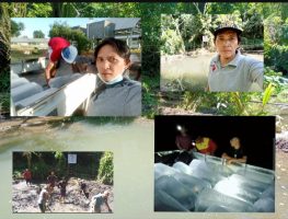 WhatsApp Image 2022-09-16 at 06.55.20