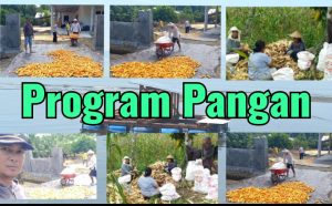 WhatsApp Image 2022-09-26 at 15.00.16