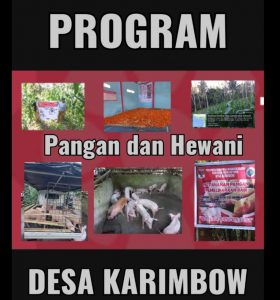 WhatsApp Image 2022-10-05 at 08.17.58