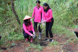 WhatsApp Image 2022-10-10 at 12.06.13