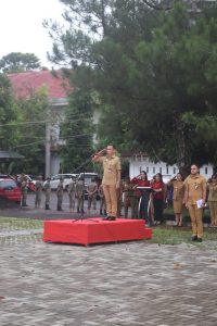 IMG-20230329-WA0019 IMG-20230329-WA0019