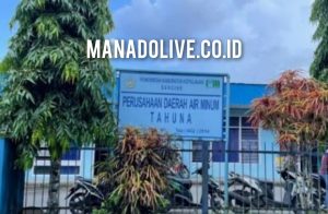 GridArt_20240610_081324693