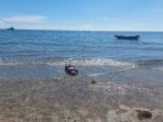 IMG-20250505-WA0037